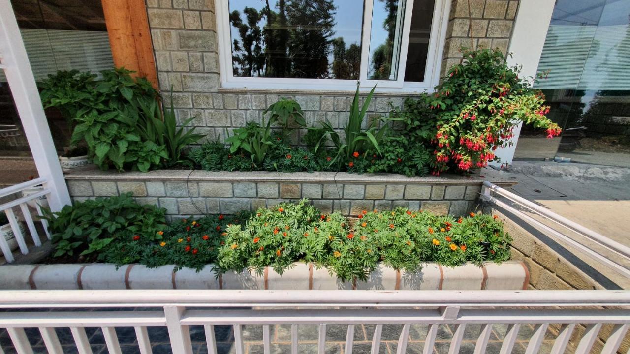 Nomadic Inn Dharamshala Exterior photo
