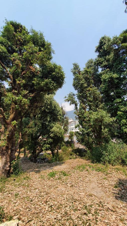 Nomadic Inn Dharamshala Exterior photo